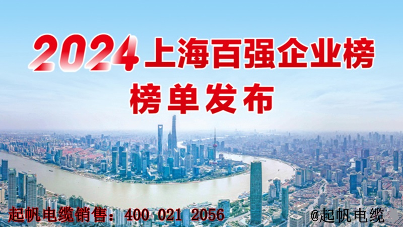 2024年上海百強(qiáng)企業(yè)榜單發(fā)布 2024年上海百強(qiáng)企業(yè)榜單發(fā)布